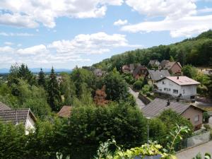 a village on a hill with houses at L Atelier Secret in Guebwiller