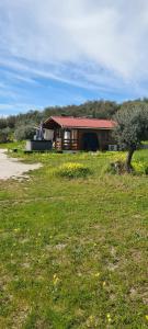a house in a field with a tree in front of it at O Meu Retiro in Carrapatelo