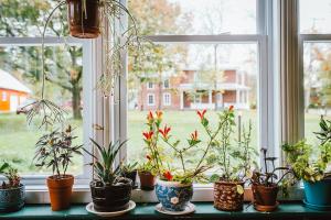 Zahrada ubytování Gîte TerreCiel