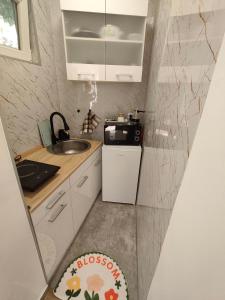 a small kitchen with a sink and a stove at Studio 714 in Škaljari