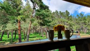 a window with vases and flowers on a window sill at Midamo in Manglisi +1 photo