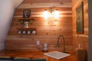 a kitchen with a sink and a wooden wall at Woodland Creek in Chase