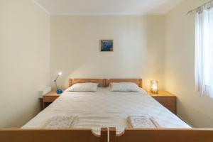 a bedroom with a large bed and a window at Garden Apartments Lustica in Radovici