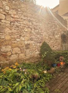 a stone wall with a bunch of plants and flowers at Midtown Apartment Hannover in Hannover