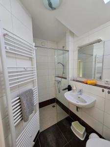 a bathroom with a glass shower and a sink at Ferienresidenz Am Strom in Warnemünde +25 photos