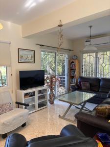 a living room with a couch and a tv at Villa Filip Coral Bay in Peyia