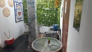 a glass table with a plant on it in a room at casa posada cabaña paracas in Paracas