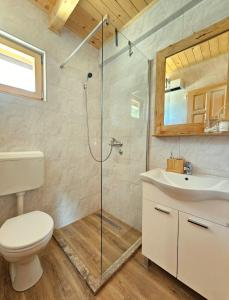 a bathroom with a shower and a toilet and a sink at Vikendice Una i Andrea in Bileća +14 photos
