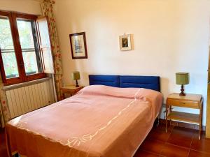 a bedroom with a bed with a blue head board at La Casetta di Serenella in Andali +24 photos