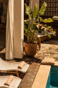 a patio with a pool and chairs and a plant at Casa Lalla Hotel Rural in Douar Aguergour