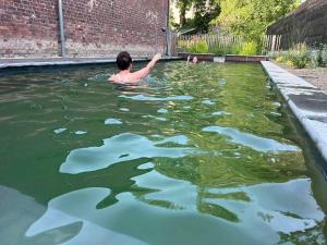a man swimming in a pool of water at B&B Hof Beygaert in Aalst