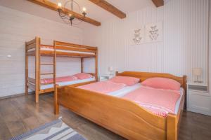 a bedroom with two bunk beds and a ladder at Modrý Dom - Telgárt Resort in Telgárt