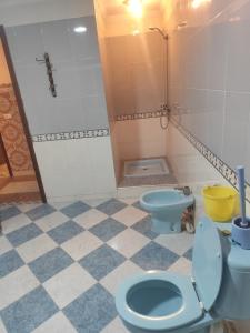 a bathroom with a toilet and a cat sitting on a tiled floor at Aroui aireport in Nador Airport +13 photos