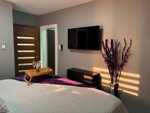 a bedroom with a bed and a tv on the wall at Elegant 3-Bedroom Loft Condo in Kingston