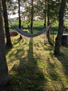 a hammock hanging between trees in a park at Slane Concert - Riverside Glamping in Navan