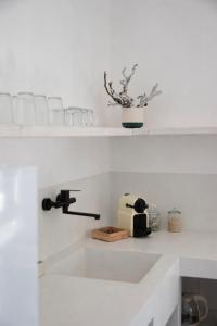 a kitchen counter with a sink and a toaster at Visinokipos House in Mirsíni +19 photos
