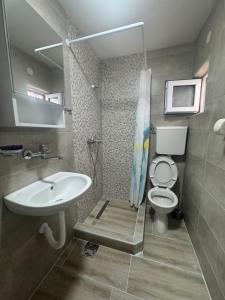 a bathroom with a sink and a toilet and a shower at Canj Cozy apartment 2 in Čanj