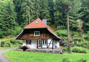 a small house with an orange roof in a field at Obergießhof Waldbauernhof in Hornberg