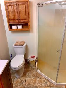 a bathroom with a toilet and a glass shower at Benzonia Rustic Resort in Benzonia +43 photos