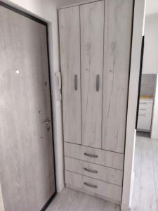 a bedroom with a closet and a door with a mirror at Tanja Apartment in Podgorica