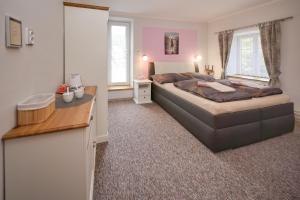 a bedroom with a large bed and a desk at Penzion Sv. Duch in Český Krumlov