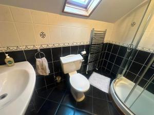 a bathroom with a toilet and a sink and a shower at Athenry Stay in Athenry