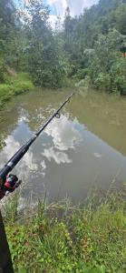 a person holding a fishing pole in a river at lazy trout house in Criva +4 photos