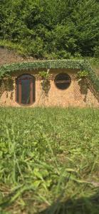 a brick building with a window in a field of grass at lazy trout house in Criva