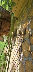 a stone wall with a bird sitting on a fence at lazy trout house in Criva