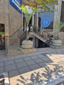 a group of stairs in a building with a plant in a pot at Palace Hotel Jacutinga JS in Jacutinga