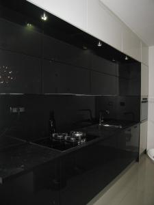 プーラにあるApartment Luxの黒いキッチン(コンロ、シンク付)