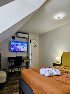 a bedroom with a bed and a tv on the wall at Maison Romantique entre deux fleuves chez l'habitant in Montereau-Fault-Yonne