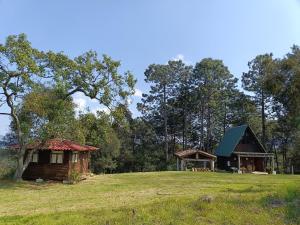 a couple of small buildings on a grass field at San Pedro Atmatla Zacatlan Cabins in Zacatlán