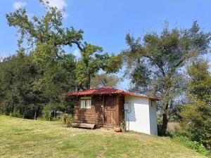 a small house with a red roof in a field at San Pedro Atmatla Zacatlan Cabins in Zacatlán +9 photos