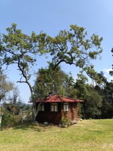 a small house in a field under a tree at San Pedro Atmatla Zacatlan Cabins in Zacatlán