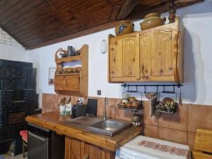a kitchen with wooden cabinets and a sink at Casa Cuca Macai in Lăunele