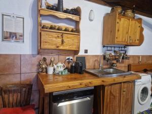 a small kitchen with a sink and a dishwasher at Casa Cuca Macai in Lăunele +43 photos