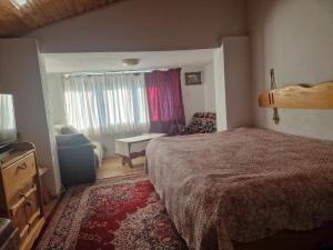 a bedroom with a bed and a couch and a window at Casa Cuca Macai in Lăunele