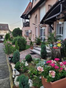 a garden in front of a house with flowers at Anda vendégház in Harkány