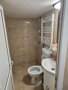 a small bathroom with a toilet and a sink at Casa Narcisa in Călimăneşti