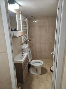 a small bathroom with a toilet and a sink at Casa Narcisa in Călimăneşti