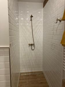 a bathroom with a shower with white tiles at Reetglück in Haseldorf