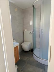a bathroom with a toilet and a glass shower at Apartments Šešo B in Pag