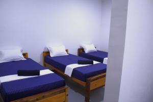 two beds in a room with blue and white at Arugambay Wave House in Arugam Bay +47 photos