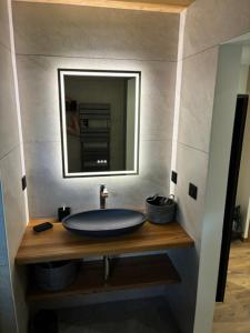 a bathroom with a sink and a mirror at Nid des aiguillettes in Chevenoz +49 photos