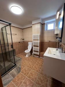 a bathroom with a toilet and a shower and a sink at Jastrabie House in Trenčianske Jastrabie