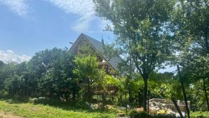 a house in the middle of a field with trees at Sunset chalet Tsikhisdziri in Ts'ikhisdziri