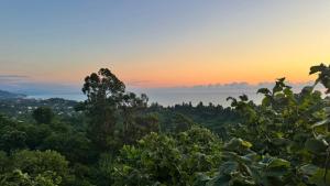 a view from the forest at sunset at Sunset chalet Tsikhisdziri in Ts'ikhisdziri