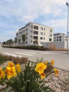 a parking lot with yellow flowers in front of a building at Panoráma apartman in Dolný Čepen