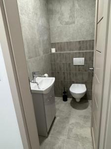 a bathroom with a sink and a toilet at Panoráma apartman in Dolný Čepen +9 photos